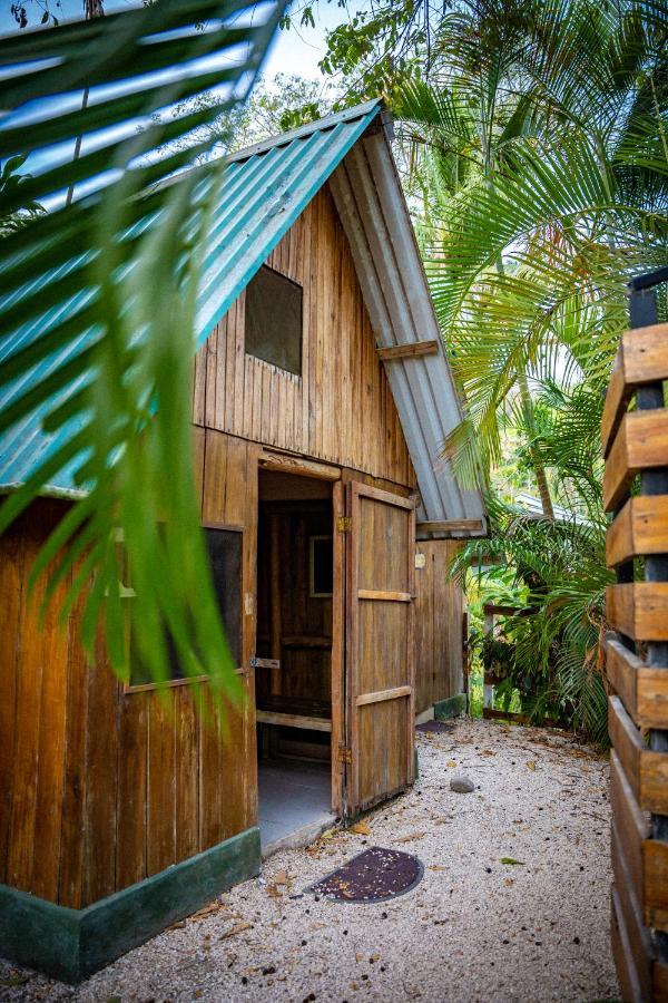 Pura Vida Mini Hostel Santa Teresa Playa Santa Teresa  Exterior photo