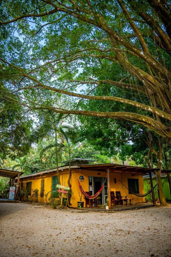 Pura Vida Mini Hostel Santa Teresa Playa Santa Teresa  Exterior photo